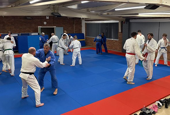 adult judo session